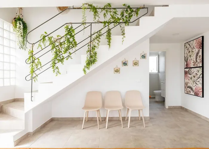 فيلة 11- Gold Princess *